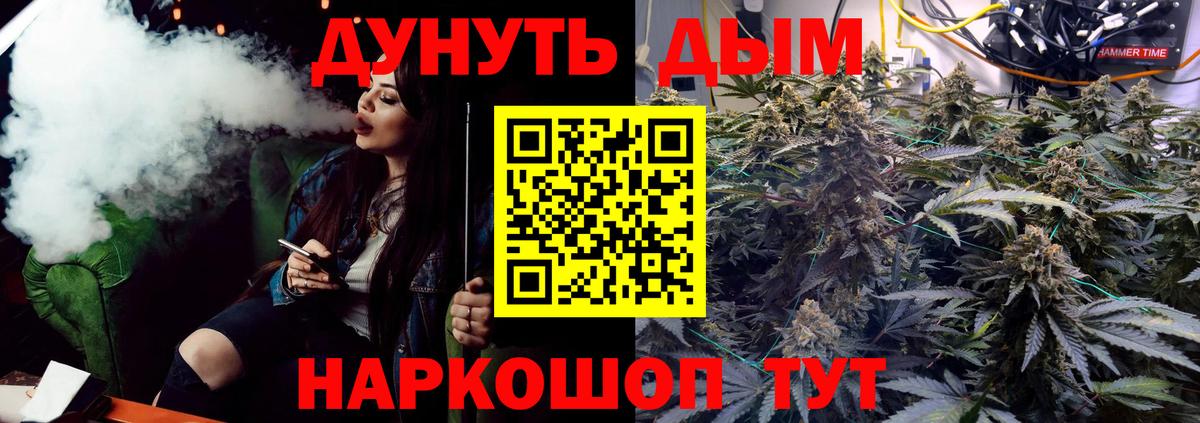 Бошки Шишки планчик Иваново